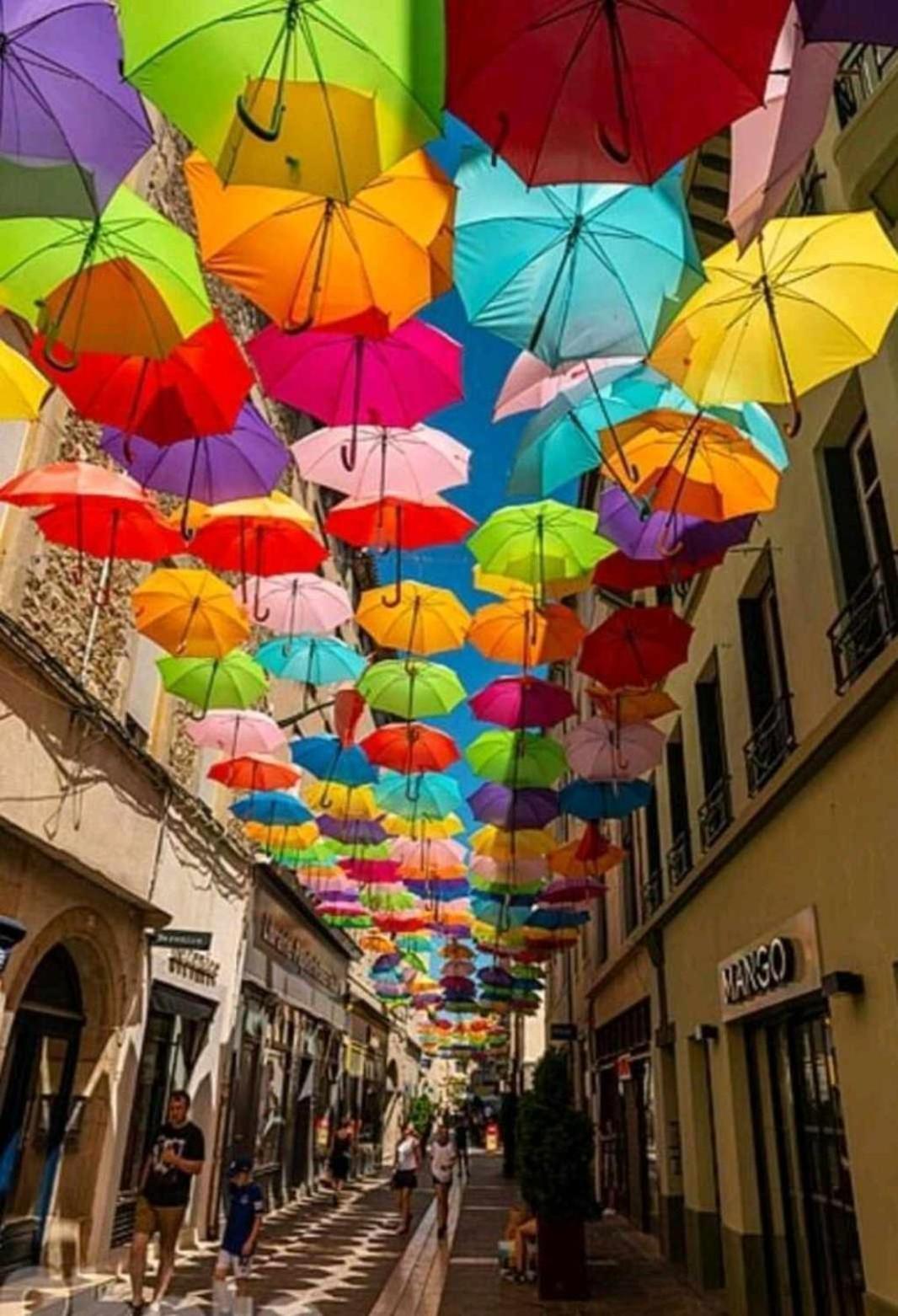 Charmant T3 Avec Terrasse Carcassonne Dış mekan fotoğraf